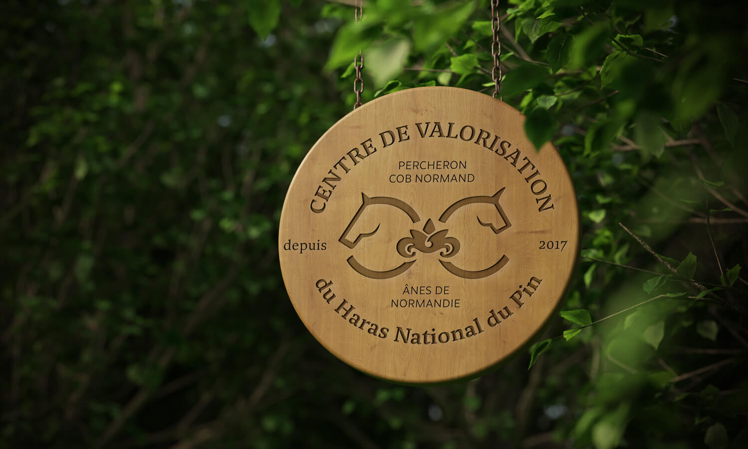 Panneau en bois du Centre de Valorisation du Haras National du Pin, affichant les silhouettes de chevaux et ânes avec les inscriptions "Percheron", "Cob Normand", et "Ânes de Normandie". Le design met en valeur l'expertise du studio Nueva Vista en création d'identités visuelles pour des institutions renommées.